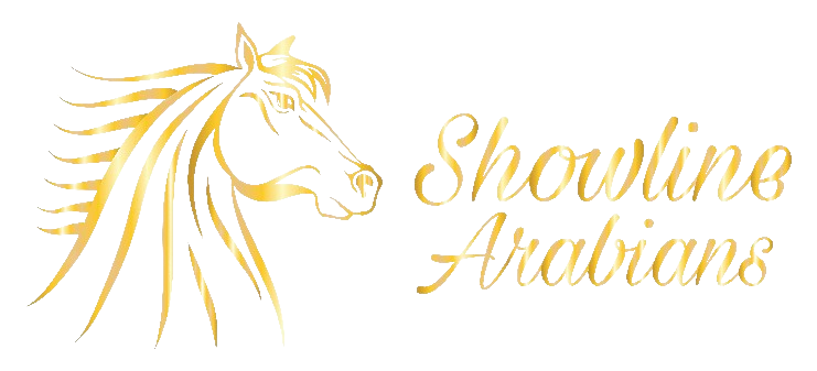 Showline